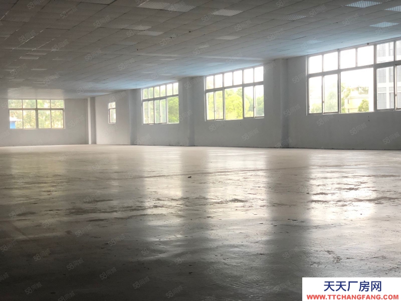 (出租) 廣州增城新塘鎮(zhèn)新出廠房9200方獨(dú)門(mén)獨(dú)院出租證件齊全大小可分