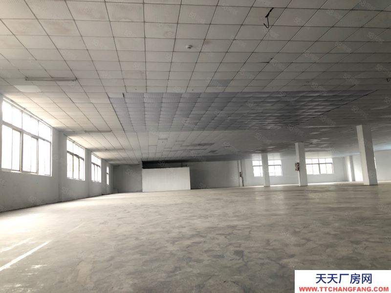 (出租) 廣州增城新塘鎮(zhèn)新出廠房9200方獨(dú)門(mén)獨(dú)院出租證件齊全大小可分