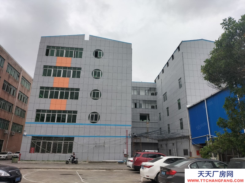 (出租) 廣州增城新塘鎮8000平方廠房出租 全新地坪漆，大小可以分租，帶裝修