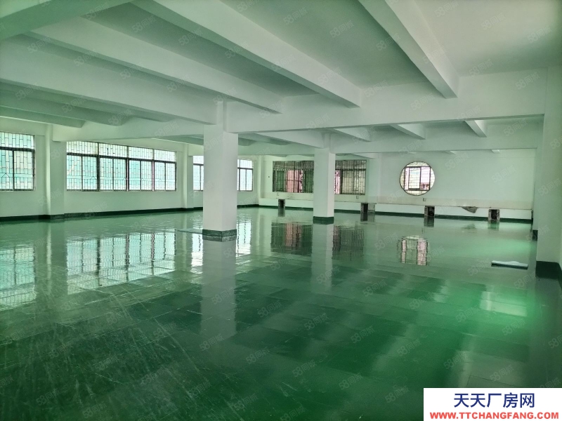 (出租) 廣州增城新塘鎮8000平方廠房出租 全新地坪漆，大小可以分租，帶裝修