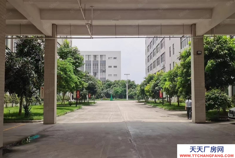 (出租) 廣州黃埔現成十萬級無塵車間1500平位于黃埔開源大道工業園區