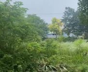 (出售) 荊州監利廠房 18.2畝 4000平鋼混廠房辦公樓 有行吊