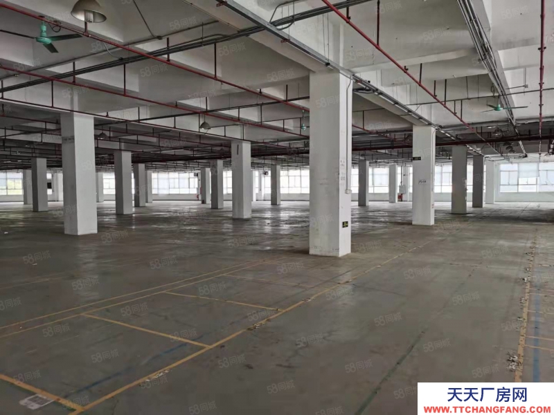 (出售) 業主急售廣州黃埔區個人業主園區工業廠房8000平獨棟出售或出讓