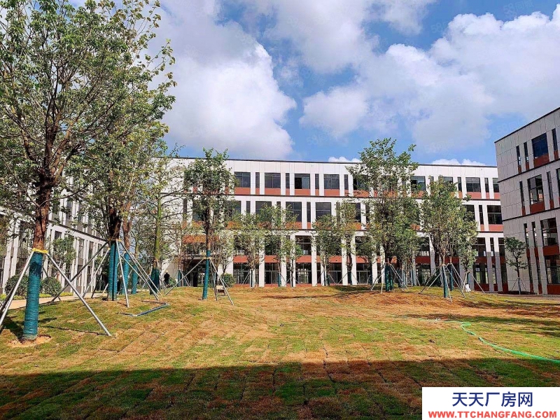 (出售) 廣州黃埔地鐵旁獨棟！平層1200~29000方，低價科技產業集聚