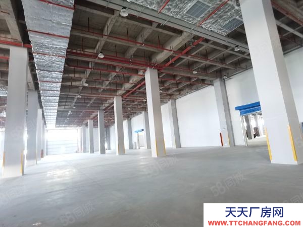 蘇州市太倉市5000平起租高標(biāo)倉庫大可租60000平