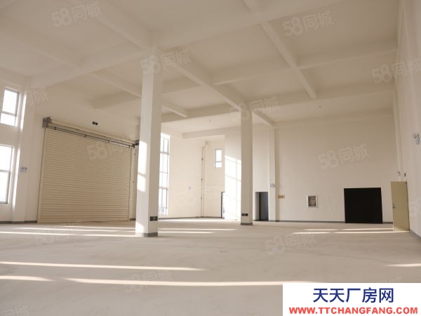 蘇州市太倉市區(qū)新建園區(qū)層高12米單層鋼構(gòu)廠房3600平