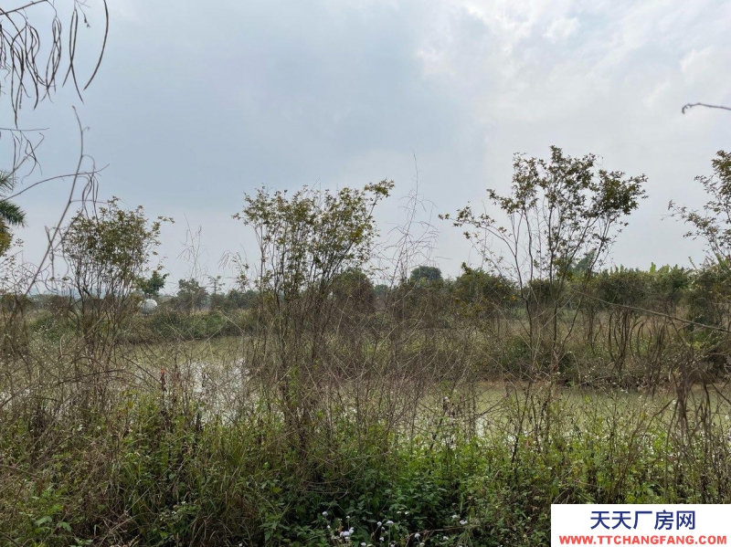 (出租)南寧市西鄉塘區美麗南方培訓場地出租