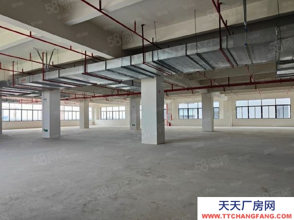 蘇州太倉市 昆山 蘇州周邊 國土50 高標廠房