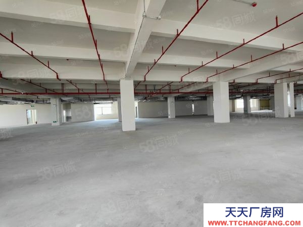 蘇州太倉市 昆山 蘇州周邊 國土50 高標廠房