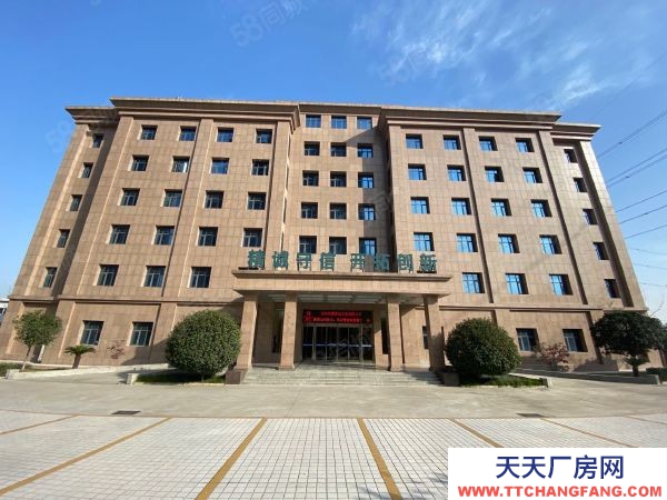 (出租) 鄭州上街新鄉路金華路精裝辦公樓出租