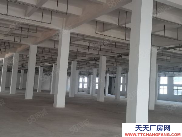 蘇州市張家港保稅區1樓 丙類有噴淋 3700平層 高6米 可配行車