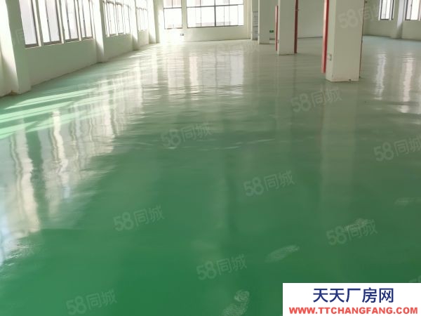 蘇州市常熟市莫城底樓標準廠房出租