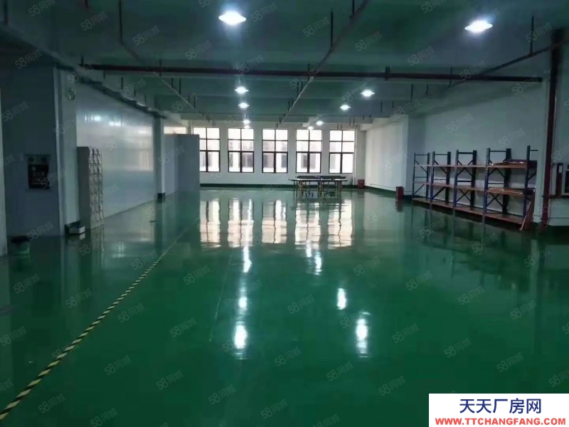 (出租) 南寧市西鄉塘區高新大道全新廠房倉庫，有一樓！可分租小面積，有補貼