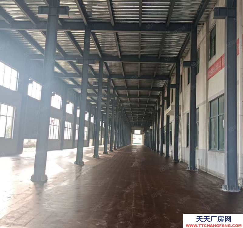 寧波江北(出售) 江北路林5.5畝.8米高，2400萬(wàn)