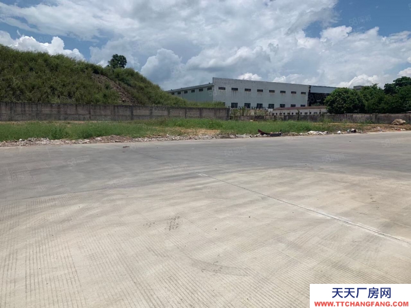 (出租) 廣州南沙雙面高臺倉出租5000方起分租空地大適合物流配送倉儲等