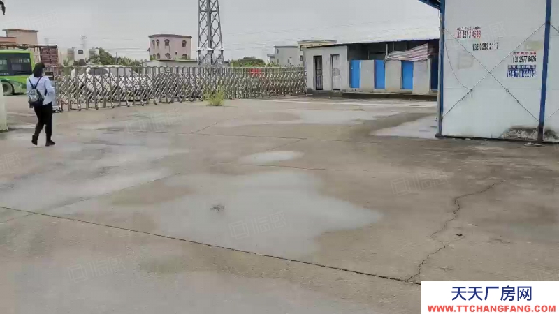 (出租) 廣州南沙區東涌萬洲村，獨院簡易9700方倉庫打包價出租，滴水8米