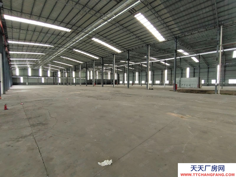 (出租) 廣州南沙區東涌萬洲村，獨院簡易9700方倉庫打包價出租，滴水8米