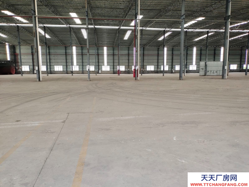 (出租) 廣州南沙區東涌萬洲村，獨院簡易9700方倉庫打包價出租，滴水8米