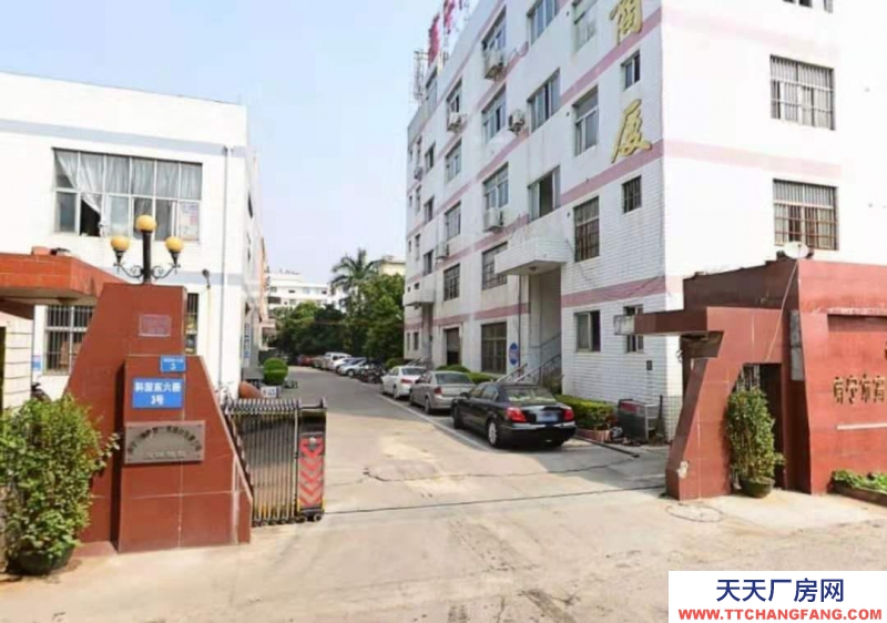 (出租)南寧市西鄉(xiāng)塘區(qū)科園大道火炬大廈邊廠房寫字樓辦公室