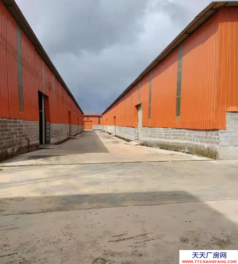 (出租)南寧市西鄉塘區現有1000平方，250平方，廠房，倉庫招租