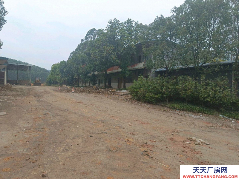 (出租)南寧市西鄉塘區有水，有電，有宿舍，有辦公樓