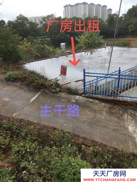 (出租)南寧市西鄉(xiāng)塘區(qū)廠房干凈整潔,通風(fēng)明亮。