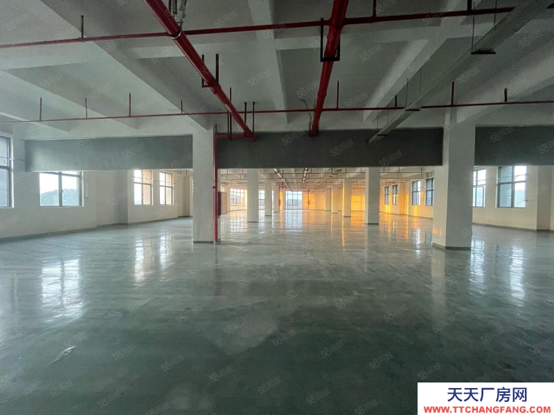 (出租) 東莞黃江臨深全新廠房單價(jià)13塊低價(jià)出租