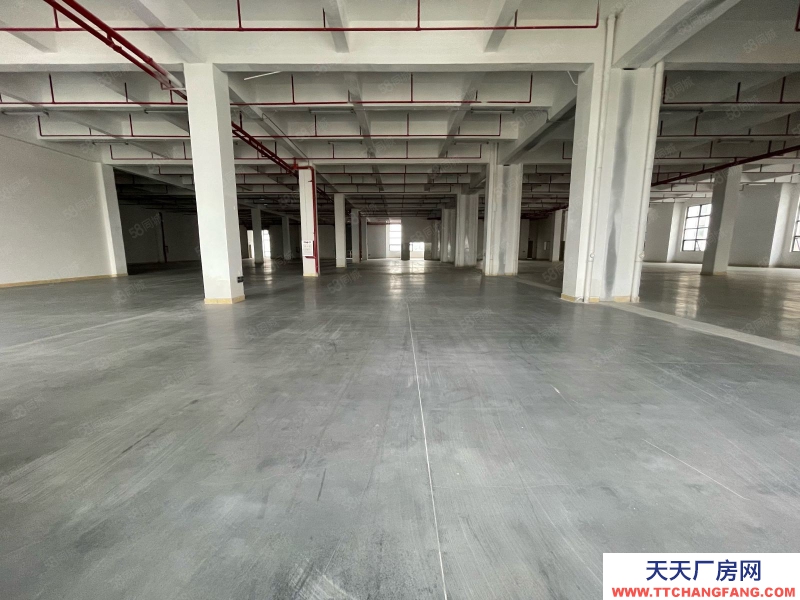 (出租) 東莞黃江臨深全新廠房單價(jià)13塊低價(jià)出租