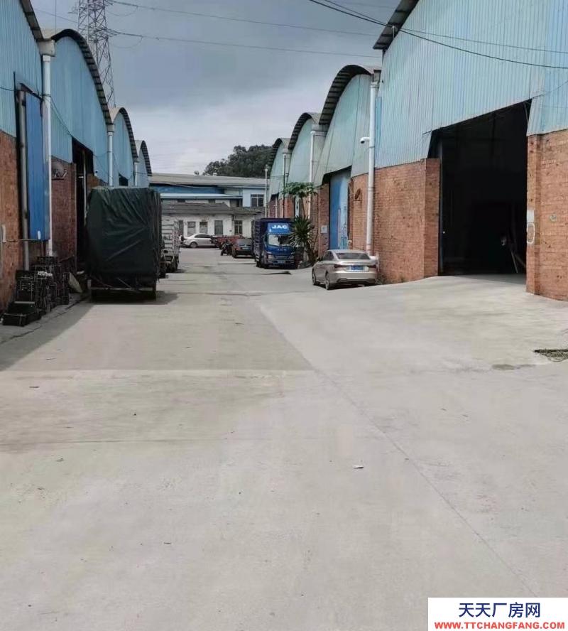 (出租)南寧市西鄉(xiāng)塘區(qū)交通方便，離南武大道250米