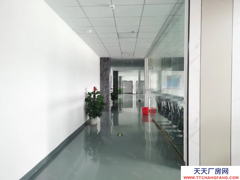 (出租) 東莞鳳崗樓上無塵車間6000平方帶辦公室裝修廠房倉庫出租