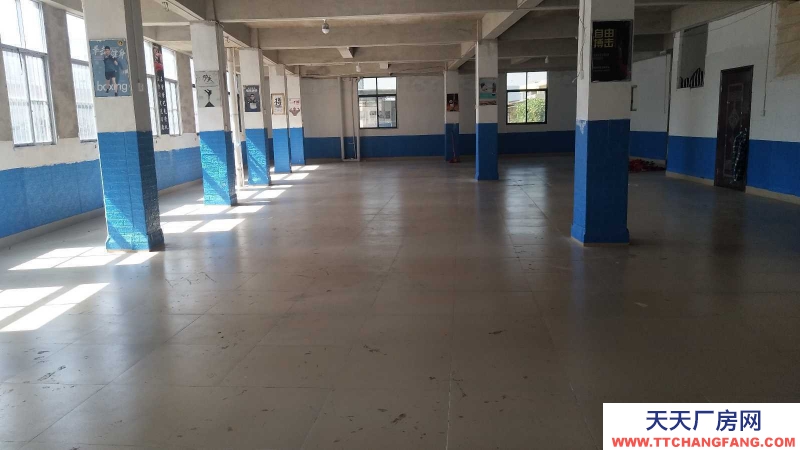 (出租)南寧市西鄉塘安吉大塘西坡6隊房屋倉庫。廠房