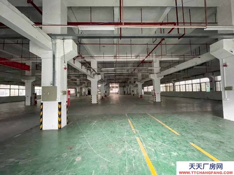 (出租) 東莞塘廈原房東獨棟標準廠房8550平 形象高大上！管理規范