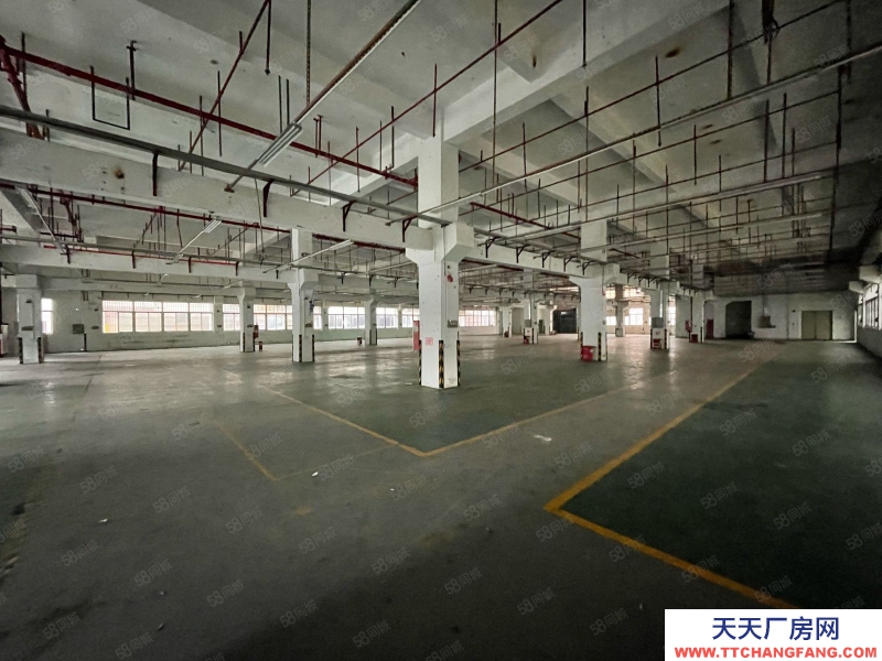 (出租) 東莞塘廈原房東獨棟標準廠房8550平 形象高大上！管理規范