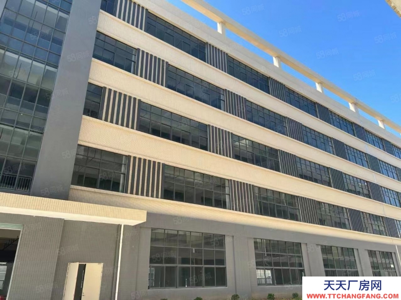 (出租) 東莞虎門樹田新出原房東標準廠房6000平出租交通便利證件齊全