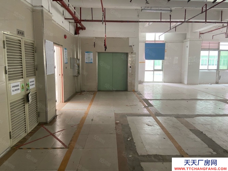 (出租) 東莞鳳崗高速出口原房東紅本廠房出租500平2000平15000平