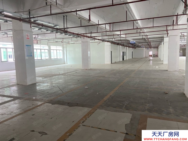 (出租) 東莞鳳崗高速出口原房東紅本廠房出租500平2000平15000平