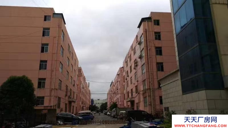 (出租)南寧市江南區經開金凱路13號廠房招租