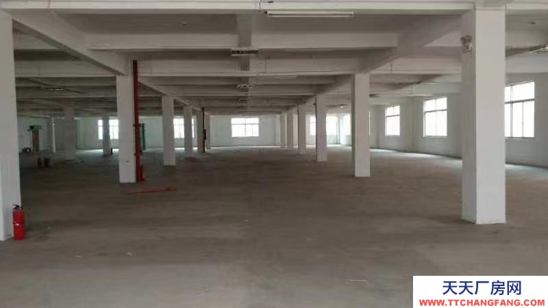 (出租)南寧市江南區經開金凱路13號廠房招租