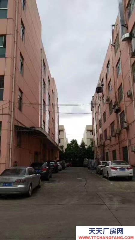 (出租)南寧市江南區經開金凱路13號廠房招租