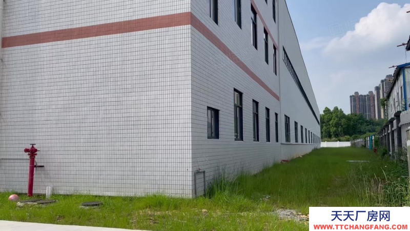 (出租) 佛山三水區西南河口獨門獨院廠房出租滴水12米可架20噸航車