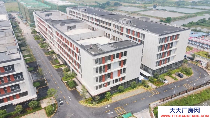 (出售) 佛山三水白坭2000平小獨棟全新廠房出售 50年產權 首付3成