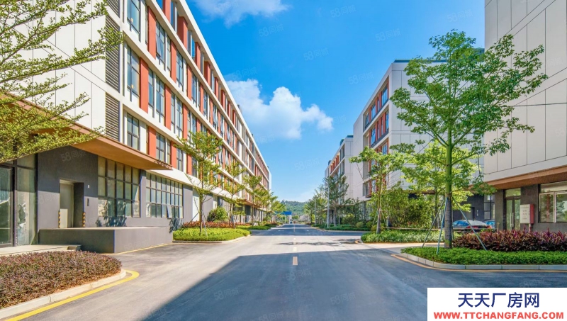 (出售) 佛山三水全新現樓標準廠房，可八成貸款，經桂丹路直走可到禪城桂城地鐵站