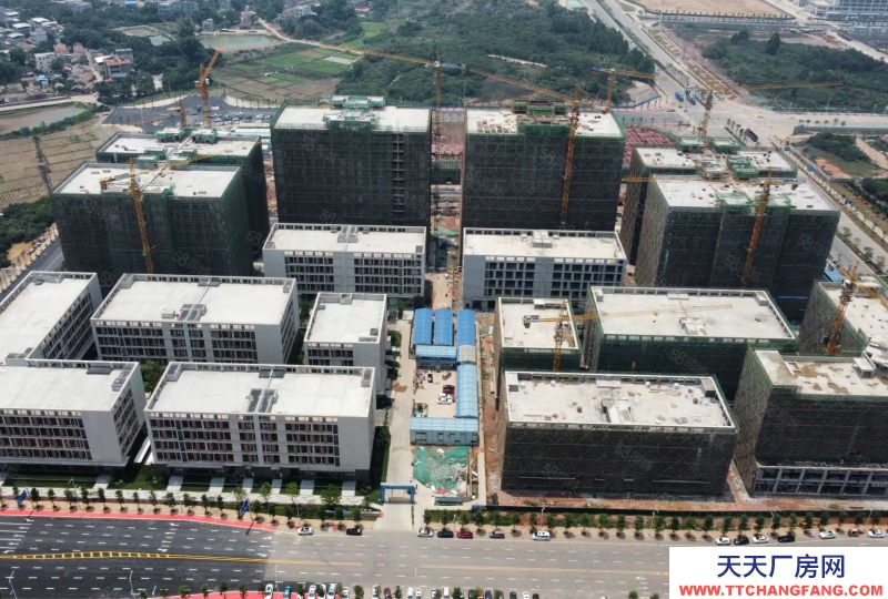 (出售) 佛山三水云東海 全新廠房可獨棟可分出售 50年產權紅本