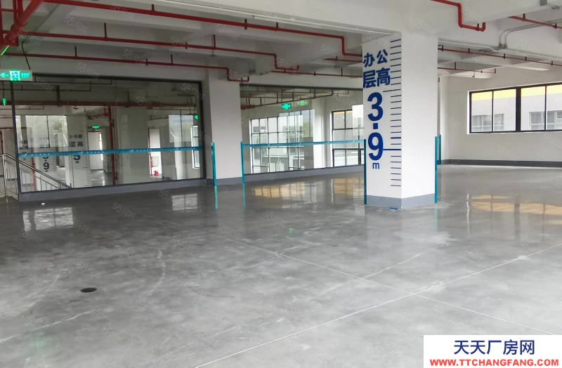 (出售) 佛山順德大良鳳翔工業區國有證廠房3300方經典獨門獨院有天有地