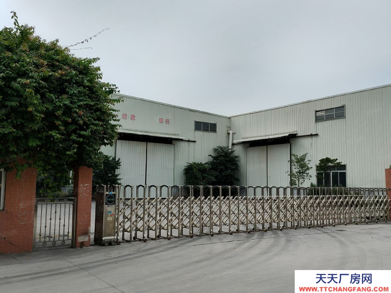 (出租) 佛山南海丹灶低價(jià)廠房出租或轉(zhuǎn)讓