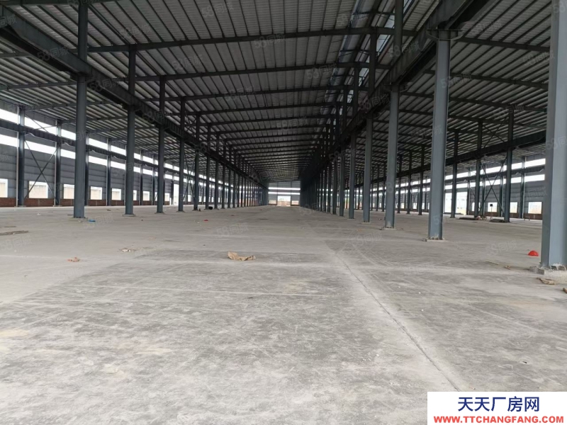 (出租) 佛山禪城南莊梧村工業區全新單一層鋼構廠房出租滴水11米帶牛腿