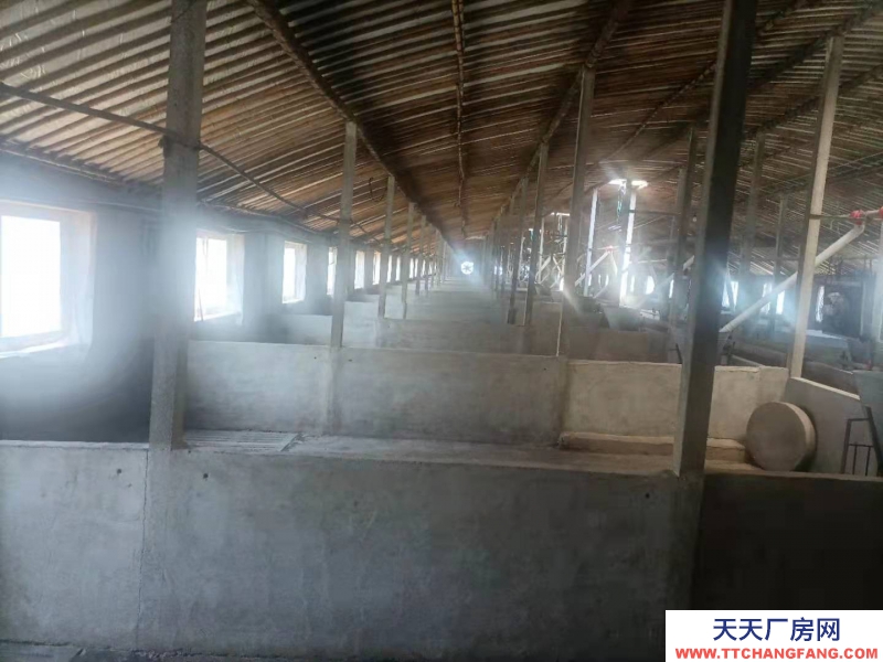 牟平兩證齊全，廠房，住宅，設(shè)備