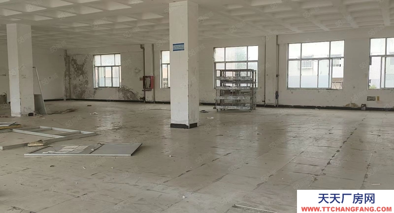 萊山 出租！杰瑞南，交通便利，適合機械加工！