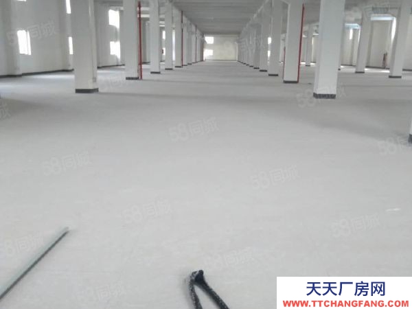 蘇州市吳中區 橫涇 獨棟 3600方 全新廠房