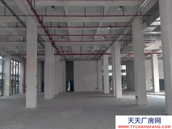 蘇州市吳中區 橫涇 獨棟 3600方 全新廠房